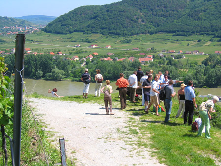 wachau_0026