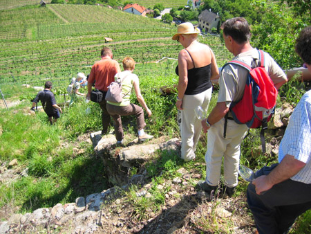 wachau_0029