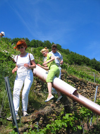 wachau_0031