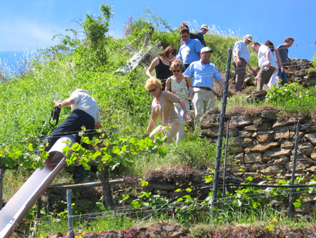 wachau_0032